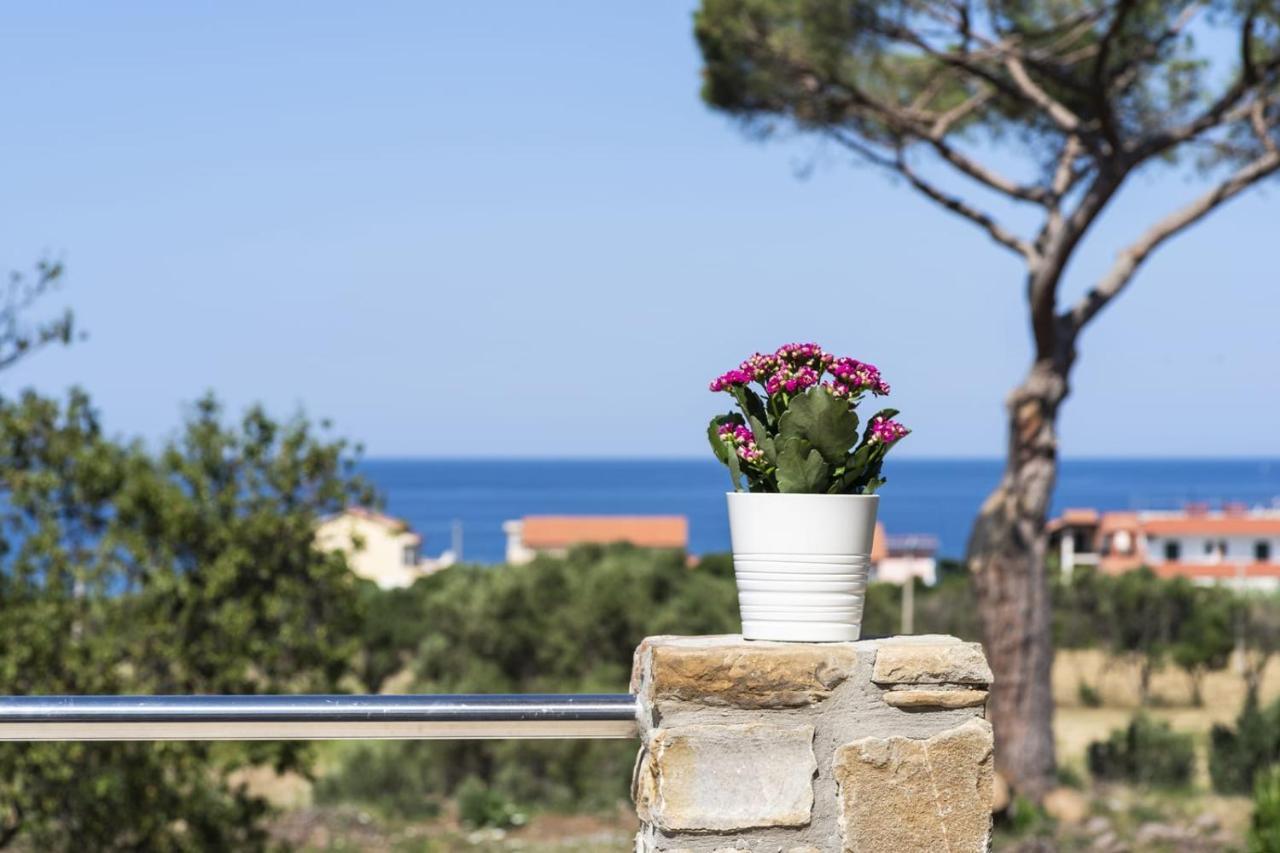 B&B Il Sogno Santa Maria di Castellabate Dış mekan fotoğraf