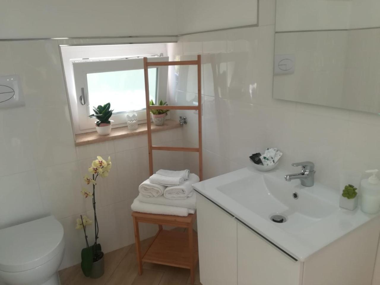 B&B Il Sogno Santa Maria di Castellabate Dış mekan fotoğraf