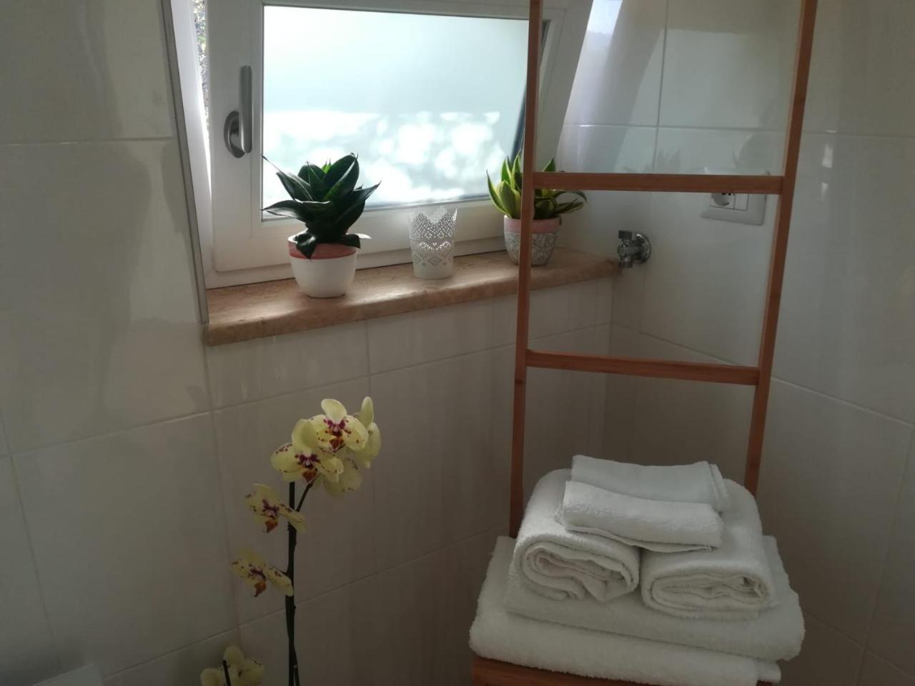 B&B Il Sogno Santa Maria di Castellabate Dış mekan fotoğraf