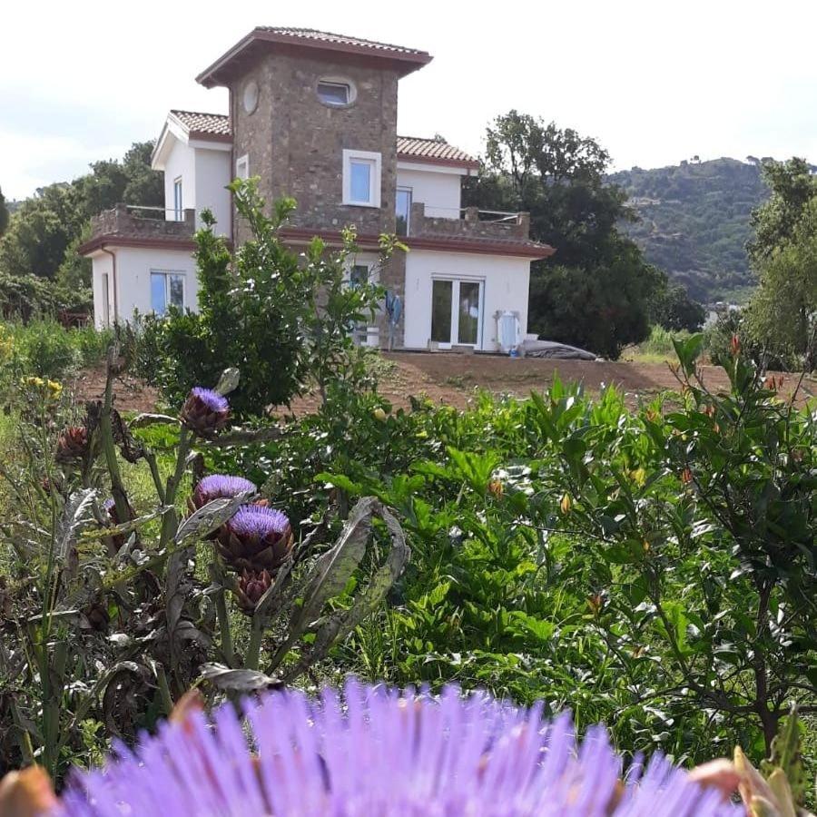 B&B Il Sogno Santa Maria di Castellabate Dış mekan fotoğraf