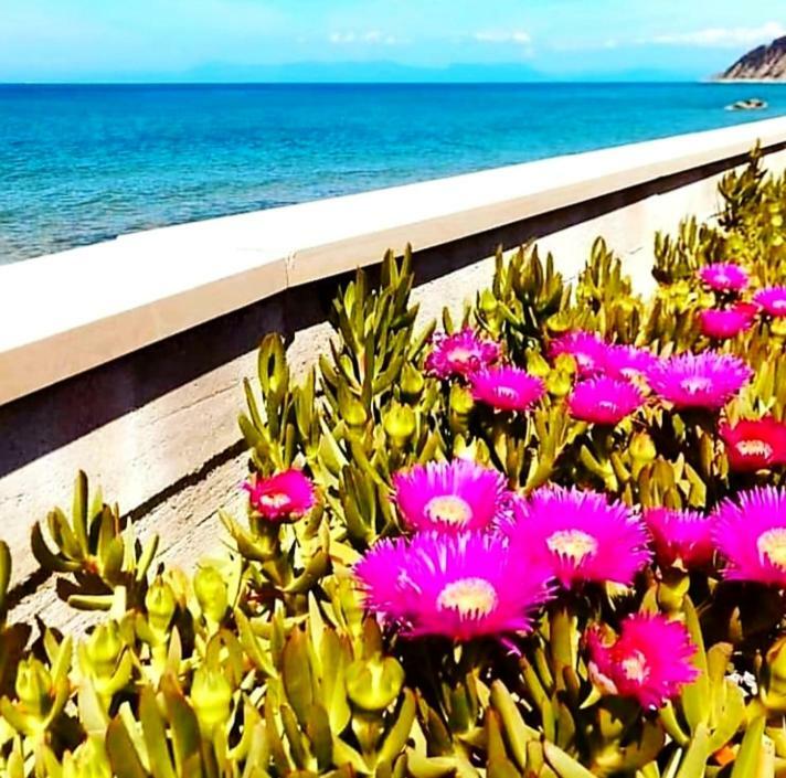 B&B Il Sogno Santa Maria di Castellabate Dış mekan fotoğraf