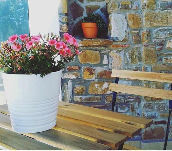 B&B Il Sogno Santa Maria di Castellabate Dış mekan fotoğraf