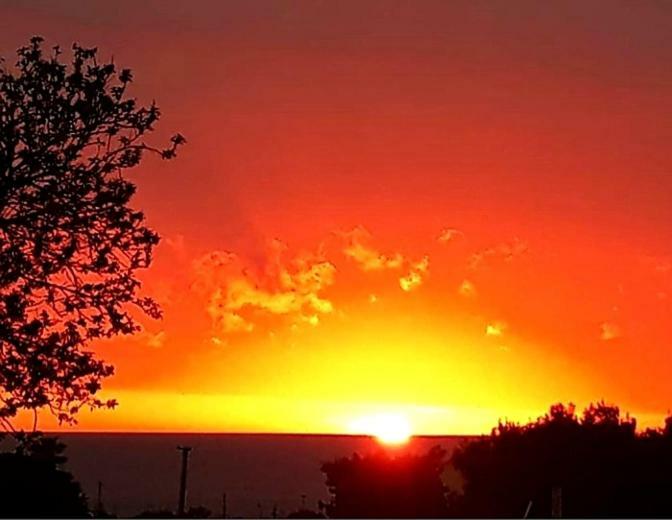 B&B Il Sogno Santa Maria di Castellabate Dış mekan fotoğraf