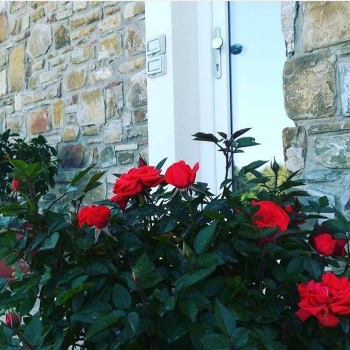 B&B Il Sogno Santa Maria di Castellabate Dış mekan fotoğraf